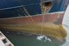 hull fouling