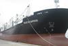 ‘Seastar Empress’ – one of Norbulk’s MPM-equipped bulk carrier fleet