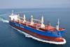 Pacific Basin has opted to kit its fleet out with DNV GL’s ShipManager fleet management system Photo: Pacific Basin