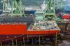 Exmar Engine Delivery aerial shot