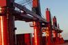 MacGregor will supply bulk versions of its cargo handling cranes