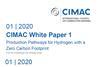 CIMAC-White-Paper