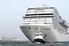 MSC magnifica