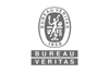 BV LOGO