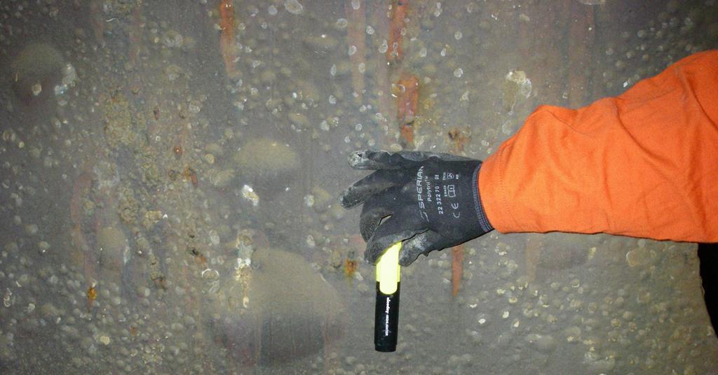 Researchers question the effectiveness of anodes in ballast tanks