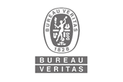 BV LOGO