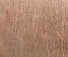Bronze coupon before exposure to ammonia