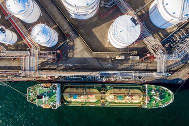 Svanehøj is planning to extend its cargo system service capabilities to LNG vessels following the acquisition.