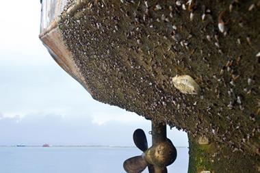 85316_Hull-fouling