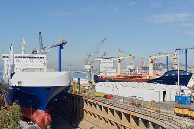 'MN Calao' and container ship 'Ops Hamburg' in dock at Gibdock