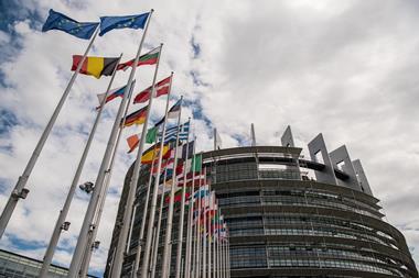 ECSA and ESPO are among the European maritime organisations calling on the European Parliament to earmark maritime ETS revenues for the maritime sector.