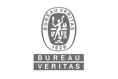 BV LOGO