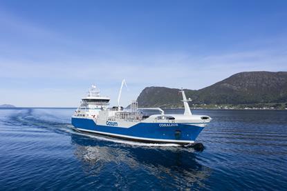 Coralius 237