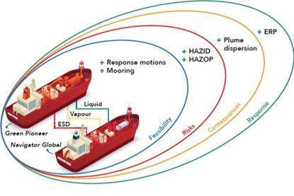 Graphic showing the risks of ship-to-ship ammonia bunkering