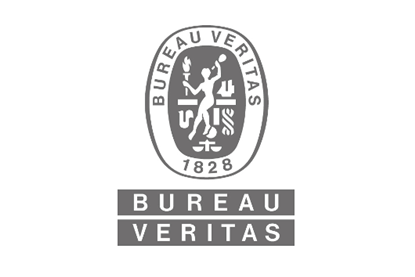 BV LOGO