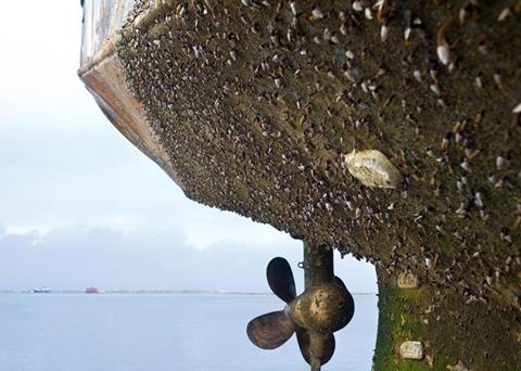 85316_Hull-fouling