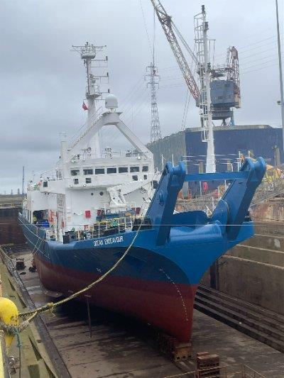 The 'Ocean Endeavour' in drydock where Thordon’s SXL rudder bearing was installed