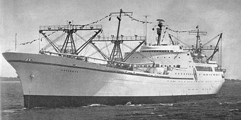 NS Savannah