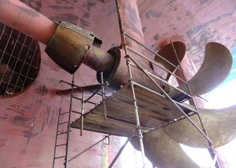 Grand Princess port strut with rope guard intact for easy bearing access