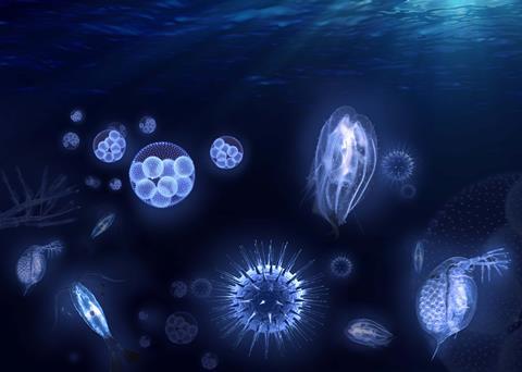 Examples of organisms transported in ballast water (image courtesy of GEA)