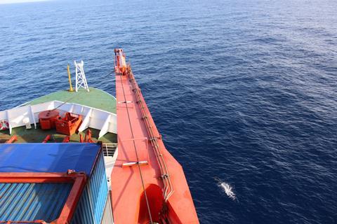 The interdisciplinary SATURN project includes DNV GL, BV and Wärtsilä among its participants © Pauhla McGrane